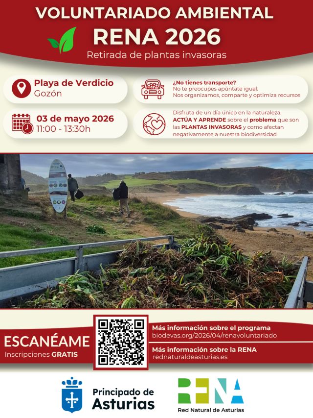 Voluntariado ambiental RENA 2026. Retirada de plantas invasoras en la playa de Verdicio