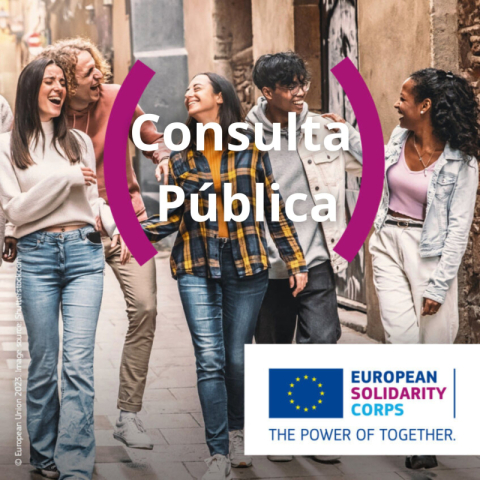 Consulta pública sobre el Cuerpo Europeo de Solidaridad